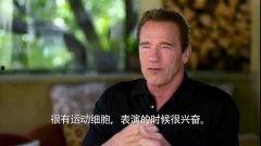 阿诺爆料视频大全最新